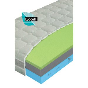 Matrac DYNAMIC Flex 200x80 cm