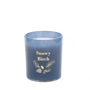 Sviečka LESLI Snowy Birch s vôňou zimného lesa XM22 832432