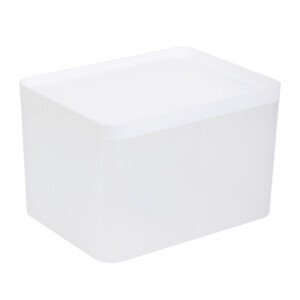 Úložný box GIZMO biely 883403