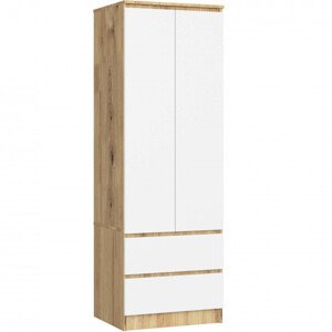 Skriňa STAR S 60 cm 2D 2SZ dub artisan / biela