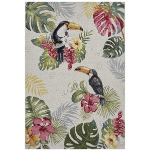 Koberec Hanse Home Flair Tropical Dream krémový / viacfarebný