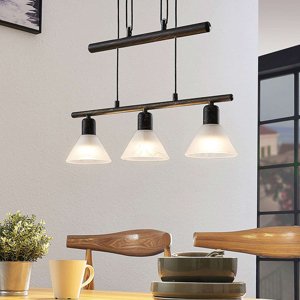 Klasická závesná lampa čierna 3-nastaviteľné svetlo - Delira