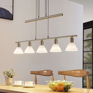 Klassieke hanglamp staal 5-lichts verstelbaar - Delira
