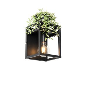 Priemyselná nástenná lampa čierna s poličkou - Cage Rack