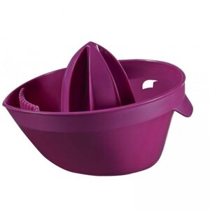 CURVER ESSENTIALS CITRUS 32970 Odšťavovač - fialová