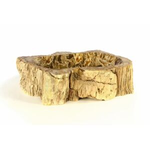 Divero 50384 Umývadlo z prírodného kameňa FOSSIL Divero - veľké