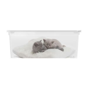 Plastový box KIS Puppy and Kitten - S