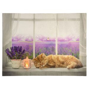 Nexos 86701 Nástenná maľba mačka na okne, 1 LED, 30 x 40 cm