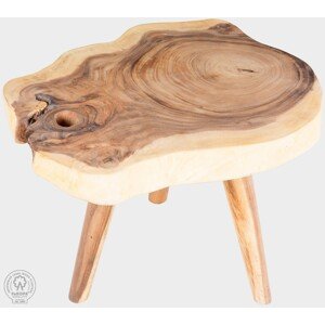 FaKOPA s. r. o. TRUNK - konferenčný stolík zo suaru 51 x 65 cm, suar