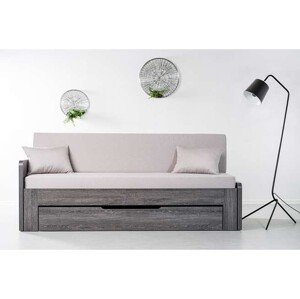 Ahorn DUOVITA 80 x 200 BK laty - rozkladacia posteľ a sedačka 80 x 200 cm s podrúčkami - dub biely, lamino