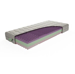 Texpol Sendvičový matrac TAMARA - s 5 - zónovou profiláciou a Aloe Vera Silver poťahom 80 x 220 cm, snímateľný poťah
