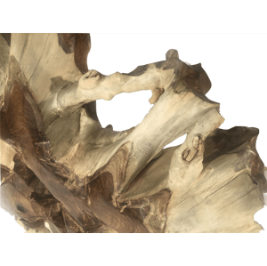 FaKOPA s. r. o. SLNKO - plastika z koreňa teaku 180 cm, teak