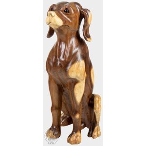 FaKOPA s. r. o. DOG XL - pes zo suaru 52 cm, suar