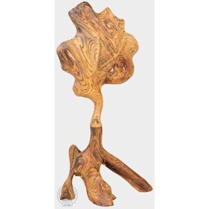 FaKOPA s. r. o. WILL II - plastika z rosewoodu 110 cm, rosewood