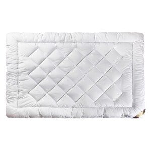 Klinmam Home CLIMA AERELLE - VANKÚŠ 50 x 70 cm, s dutým vláknom, snímateľný poťah
