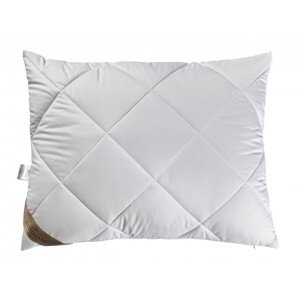Klinmam Home CLIMA AERELLE - VANKÚŠ 70 x 90 cm, s dutým vláknom, snímateľný poťah